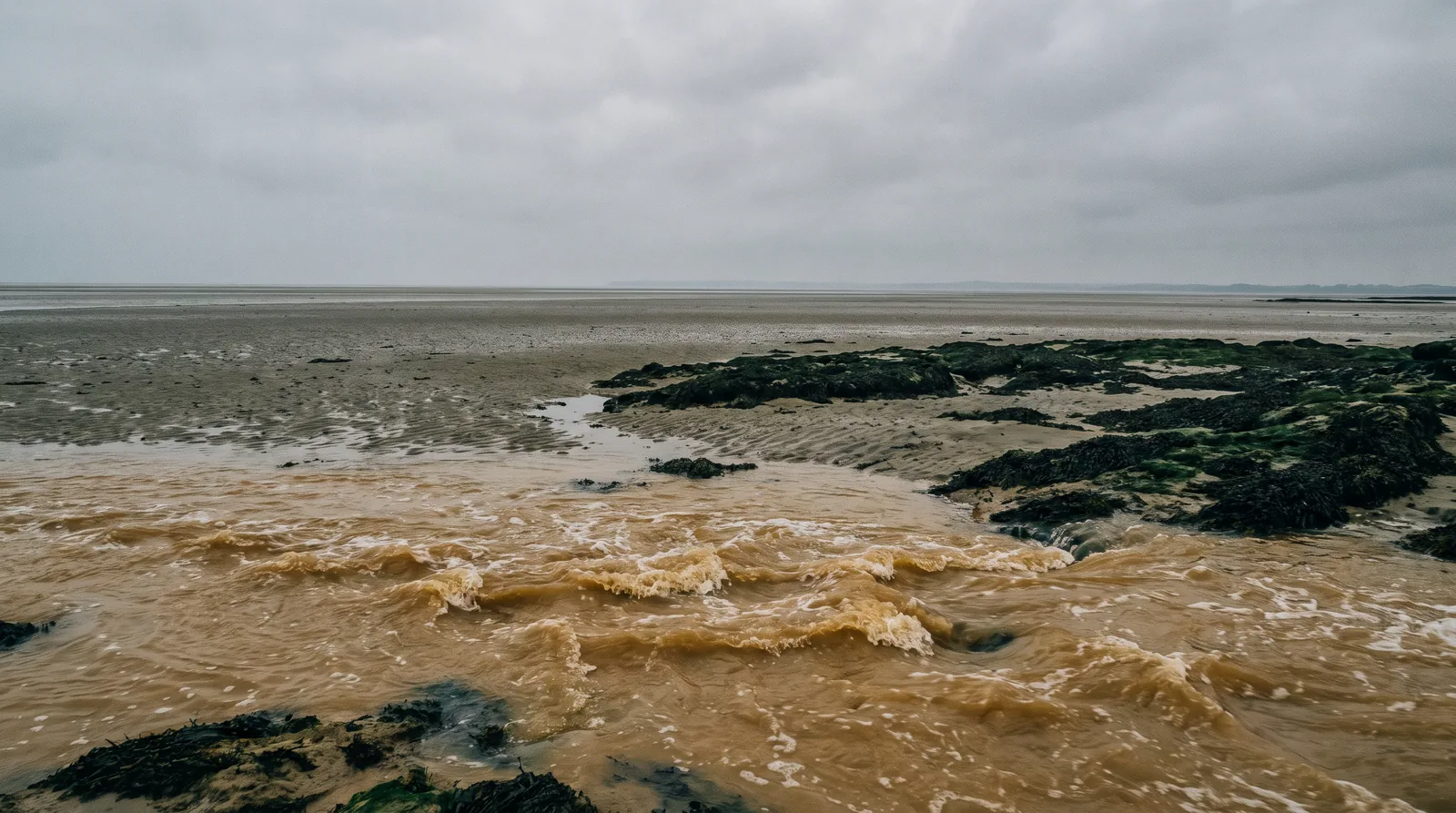 Un estran largement découvert par une grande marée, et au premier plan une eau brune opaque, chargée de sable, agitée en petites vagues courtes.