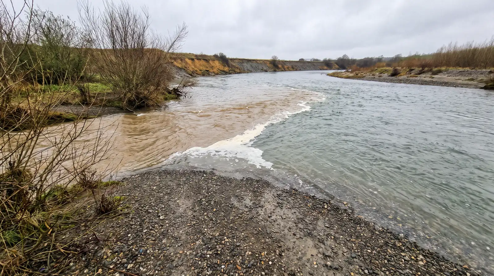 Un affluent chargé de limon brun rejoint une rivière claire ; les deux eaux coulent côte à côte, séparées par une ligne d'écume bien nette.