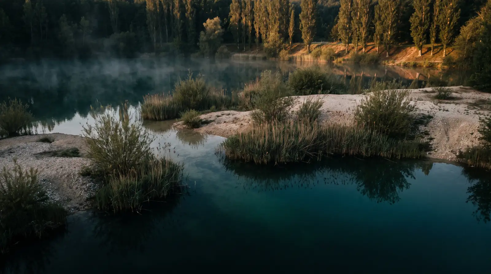Une gravière inondée au petit matin, rives de galets clairs, roseaux et jeunes saules, peupliers éclairés sur la rive d'en face