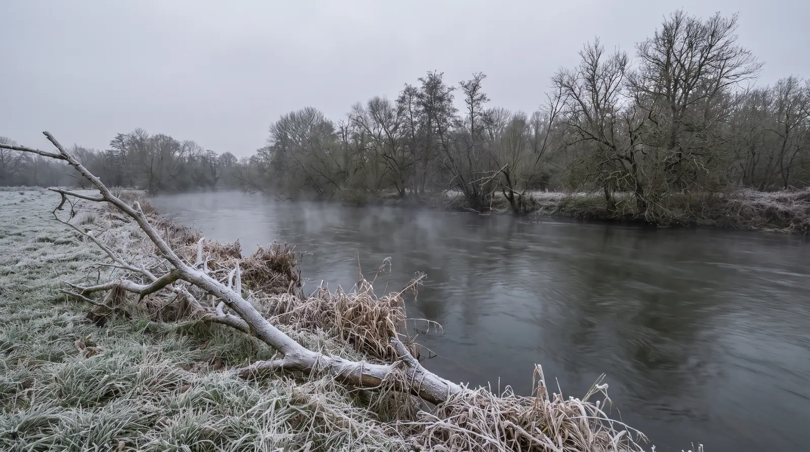 Une berge de rivière couverte de givre blanc à l'aube, avec de la buée qui monte de l'eau et dérive au ras de la surface