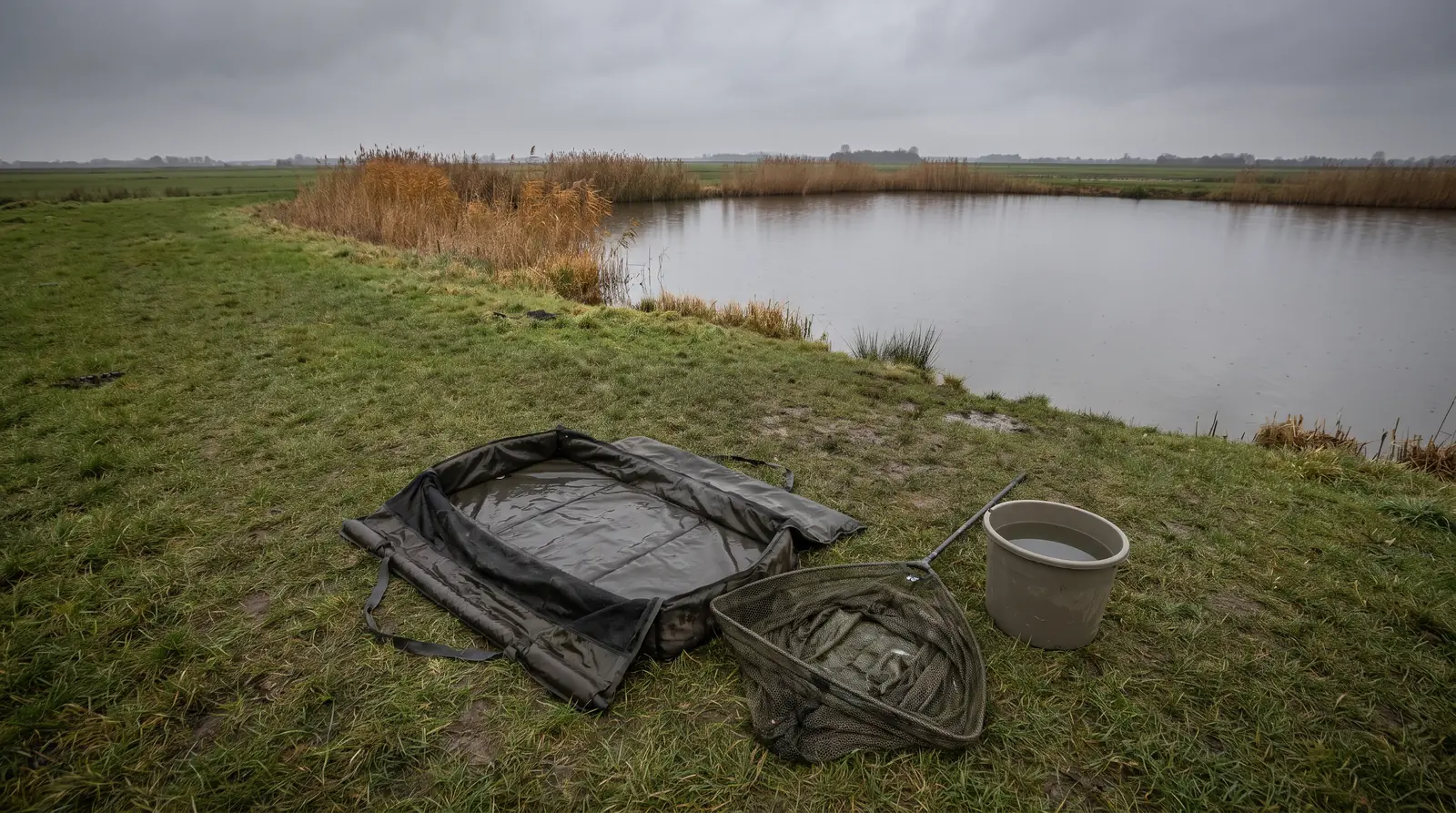 Sur une berge d'étang, un tapis de réception humide posé à plat dans l'herbe, une épuisette large repliée à côté et un seau d'eau.