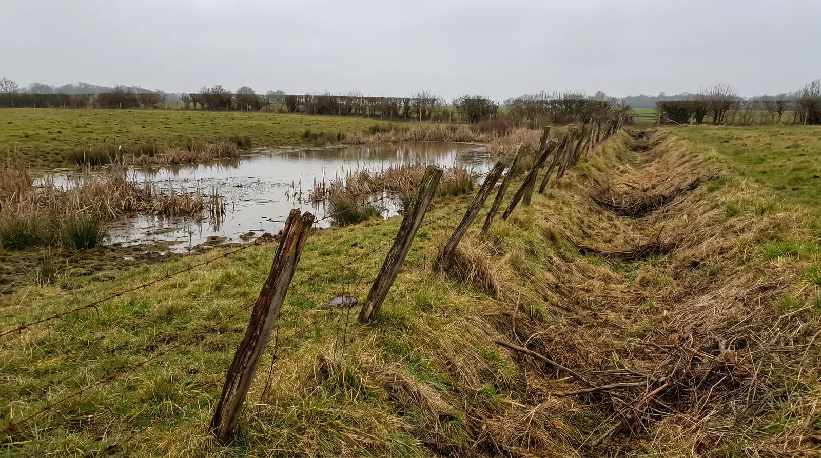 Une clôture de barbelés affaissée s'arrête au bord d'un étang ; à côté, un fossé herbeux à sec quitte le plan d'eau, l'herbe couchée vers l'aval.