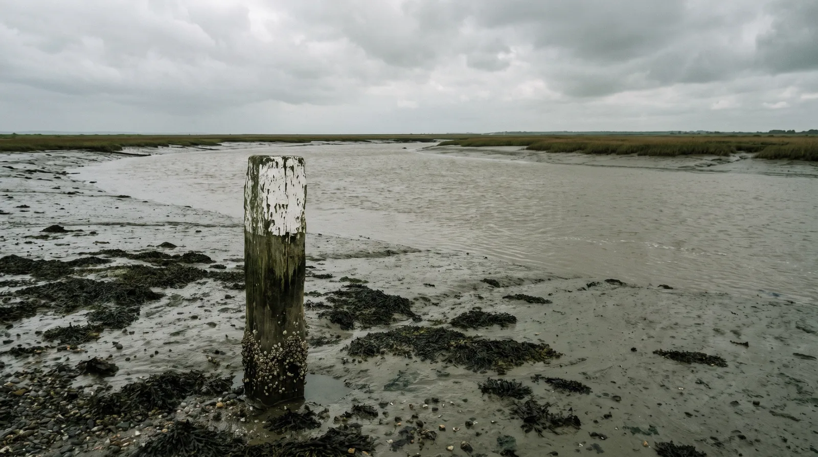 Un piquet de bois au sommet peint de blanc écaillé, planté dans la vase grise d'un estuaire à marée basse, la même eau s'éloignant vers l'amont entre deux berges basses.