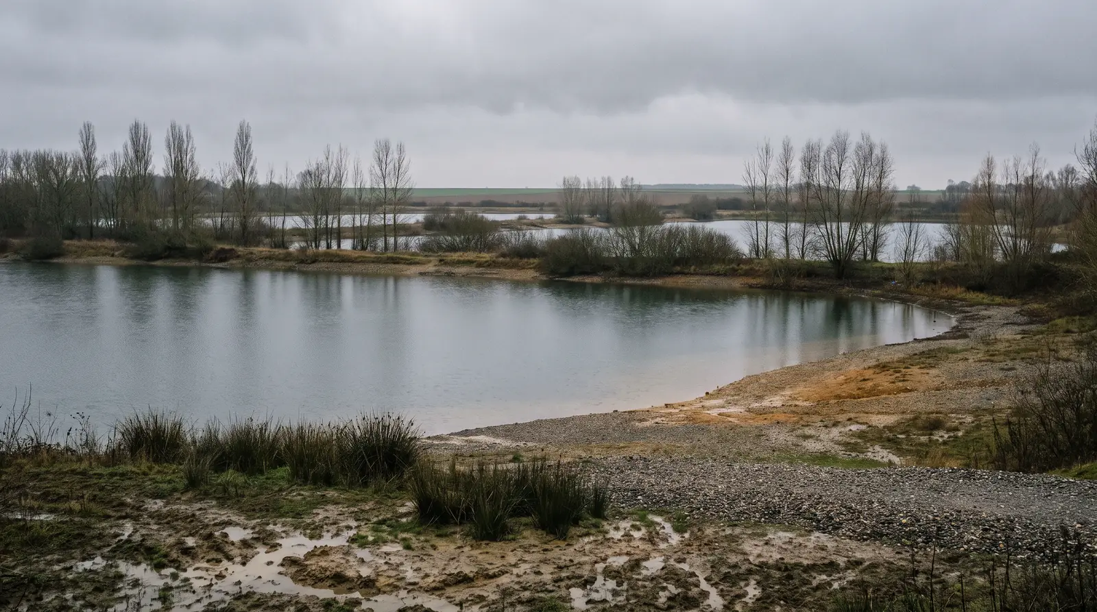 Plusieurs plans d'eau de gravière séparés par des rideaux de peupliers nus, sous un ciel bas, l'horizon agricole plat