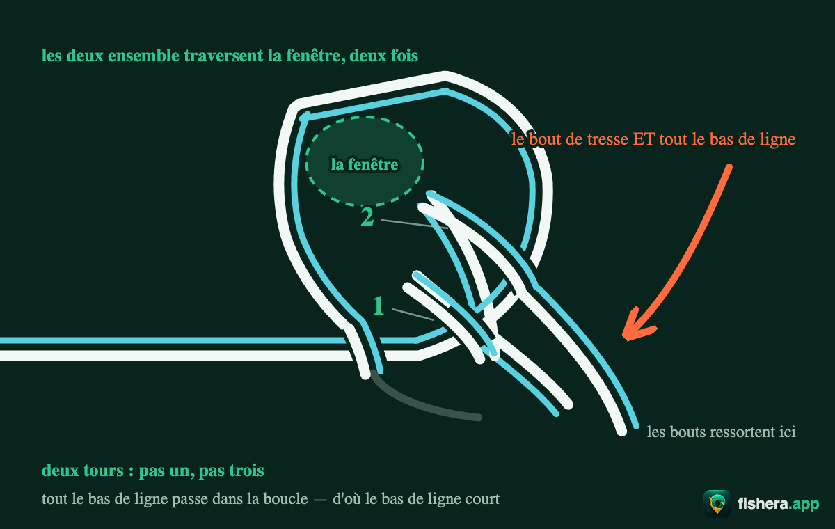 Étape 3 du nœud de chirurgien : le bout de tresse et le bas de ligne entier traversent la boucle commune deux fois, tours comptables