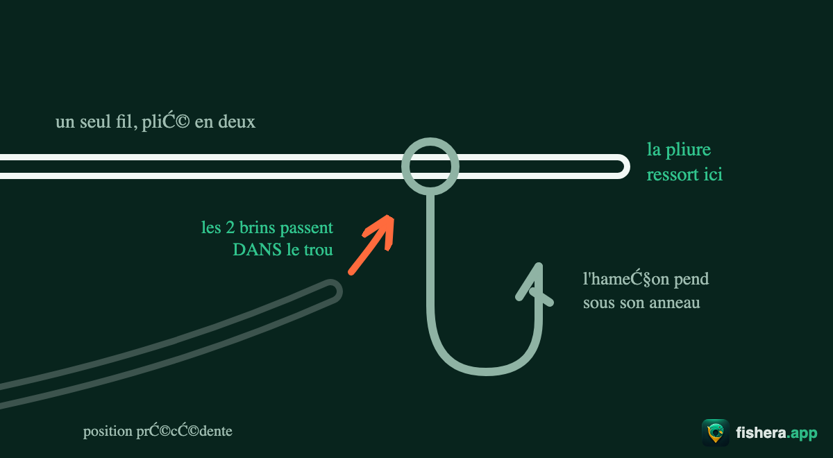 Étape 1 du nœud Palomar : le fil plié en deux traverse l'anneau de l'hameçon, la pliure ressort de l'autre côté