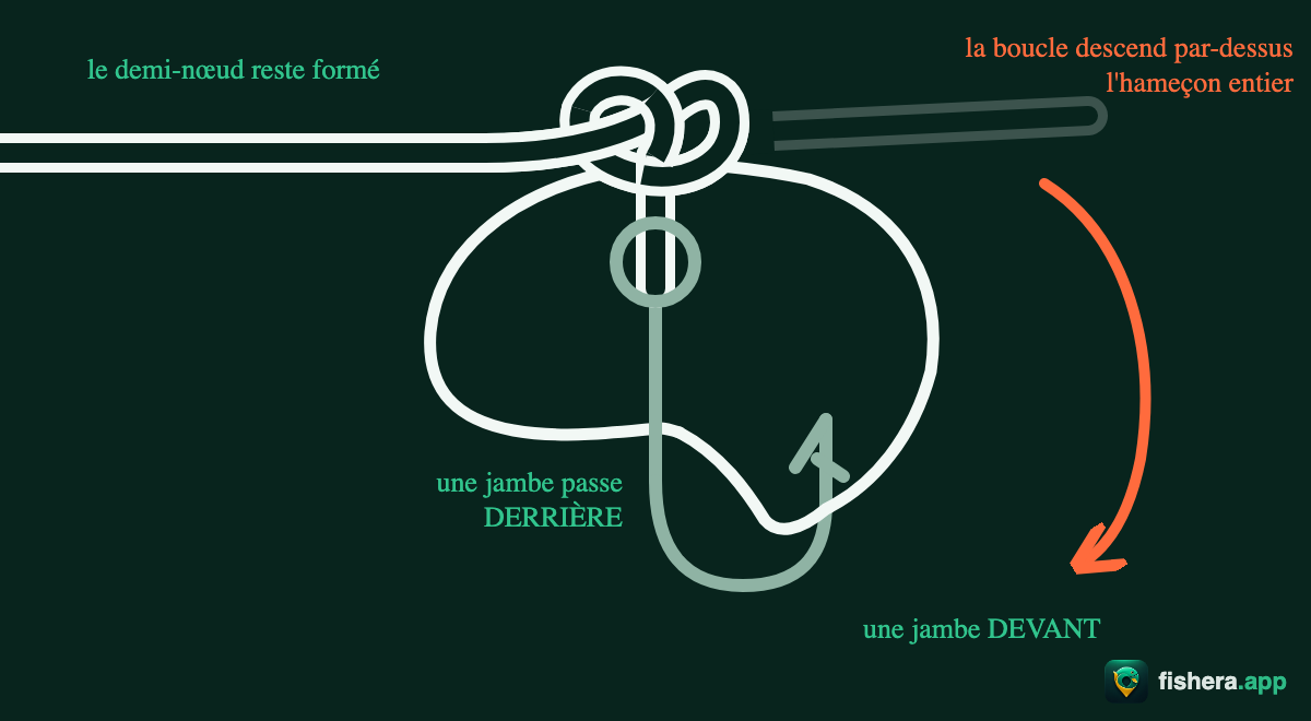 Étape 3 du nœud Palomar : le pli, une seule ligne, passe par-dessus l'hameçon entier — une jambe derrière, une devant