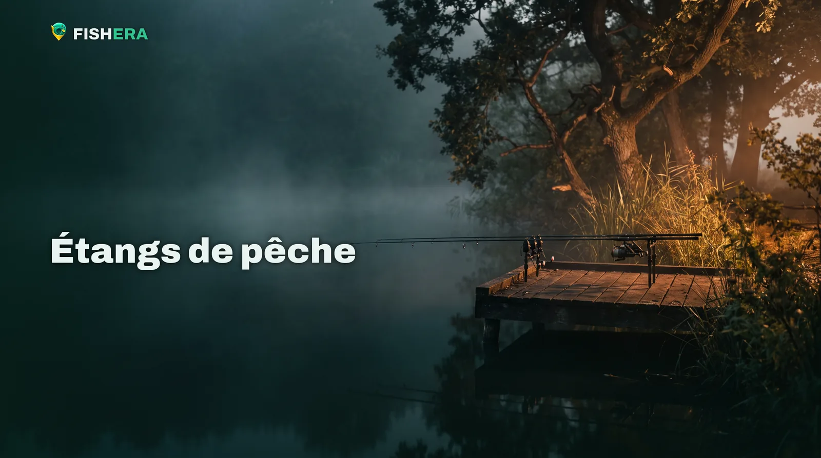 Un ponton de bois au bord d'un étang brumeux à l'aube, deux cannes à carpe posées sur un support, des roseaux et un grand chêne éclairés par le premier soleil