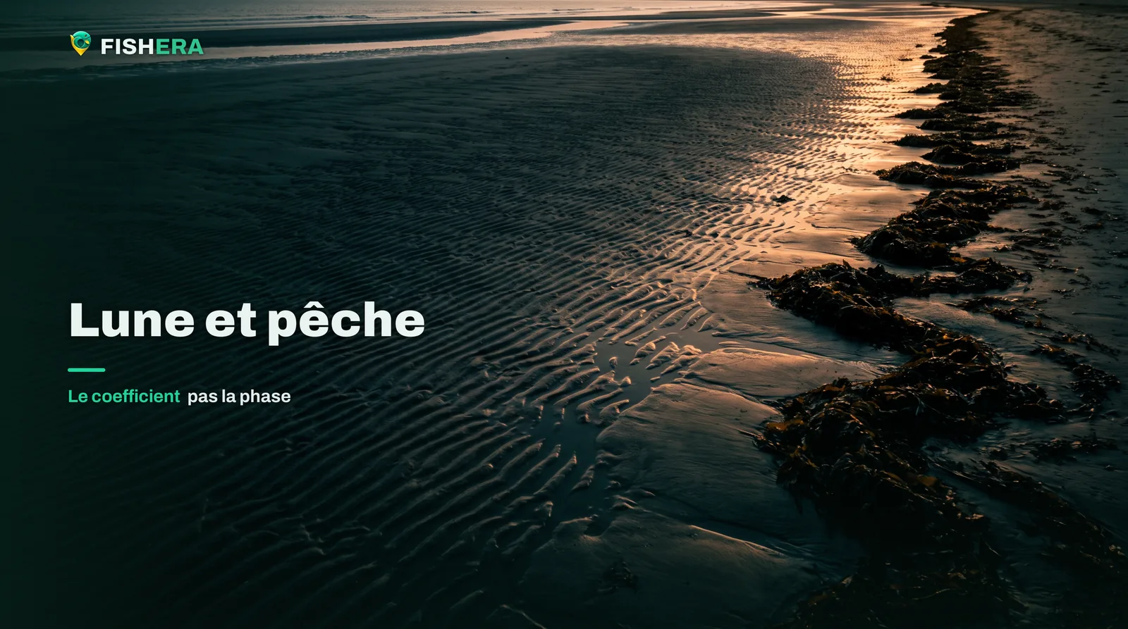 Un vaste estran découvert à basse mer de vive-eau, sable ridé et chenaux de vidange, une laisse de goémon marquant la limite de haute mer