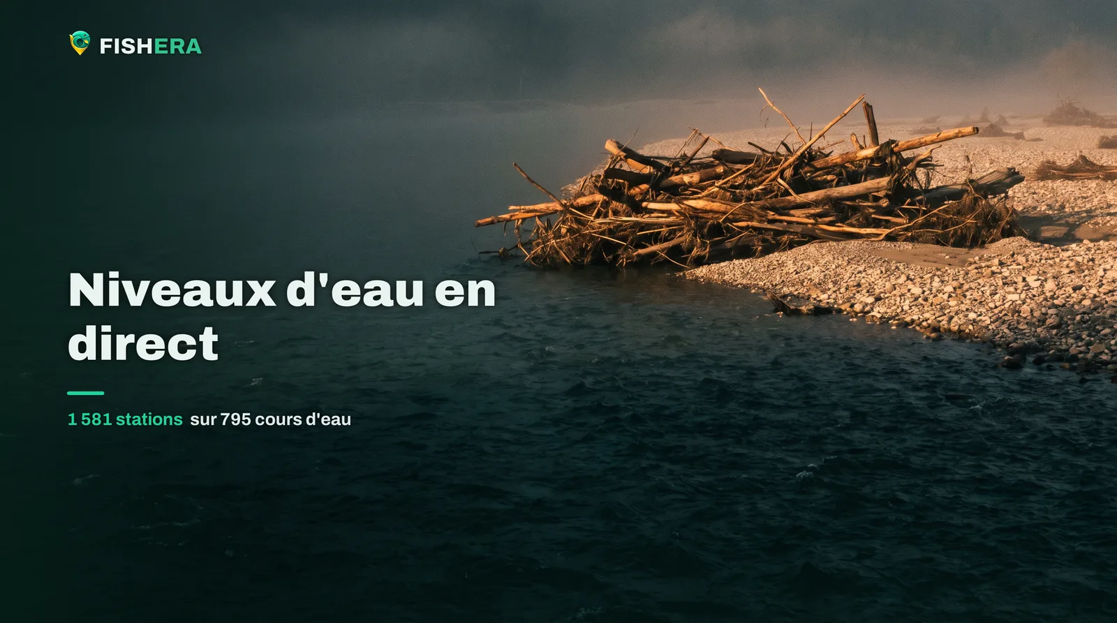 Un amas de branches et de débris déposé par une crue sur un banc de gravier, nettement au-dessus du niveau actuel de la rivière