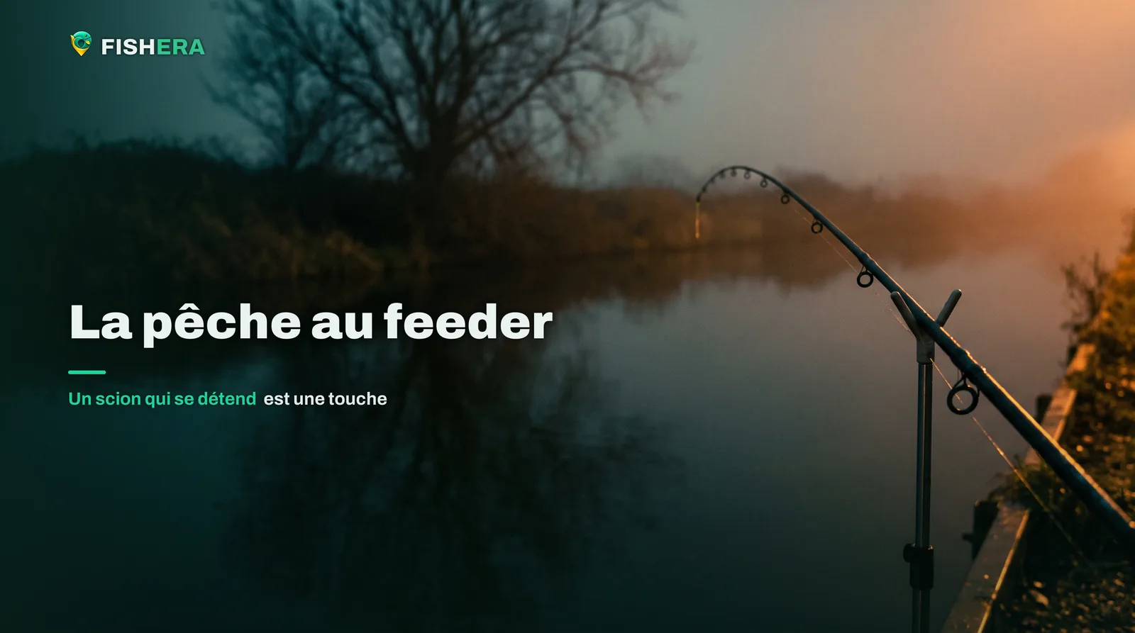 Une canne feeder posée sur son support, scion fin courbé au-dessus d'un canal à l'aube, un arbre nu sur la berge d'en face