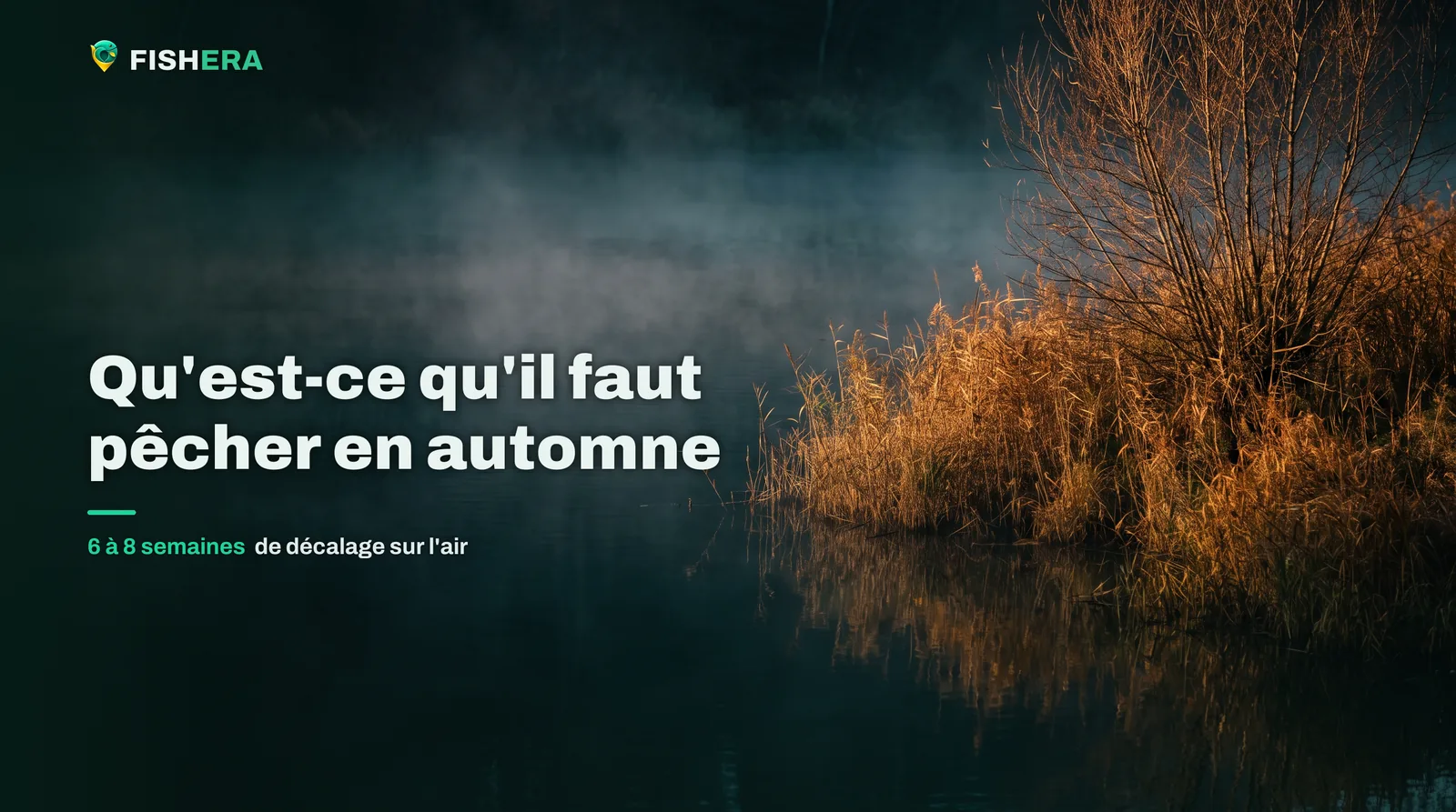 Une berge de rivière à l'aube en automne, brume basse sur une eau sombre et lisse, roseaux et saule roussis captant la première lumière chaude