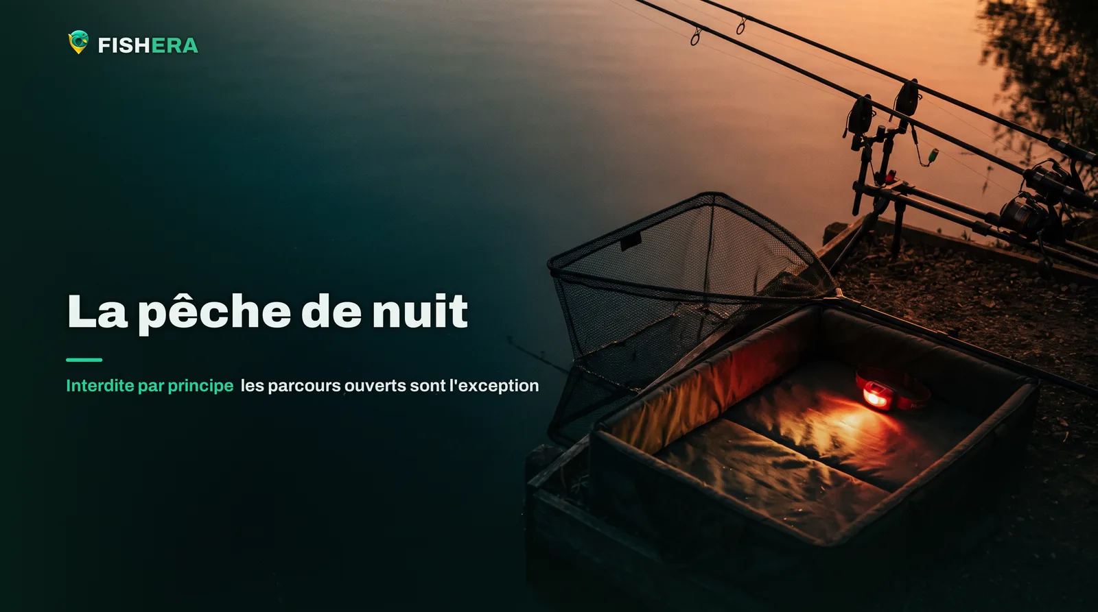 Un poste de pêche monté au bord d'un étang à la toute dernière lueur, épuisette ouverte, rod pod et tapis de réception, une lampe rouge dirigée vers le tapis