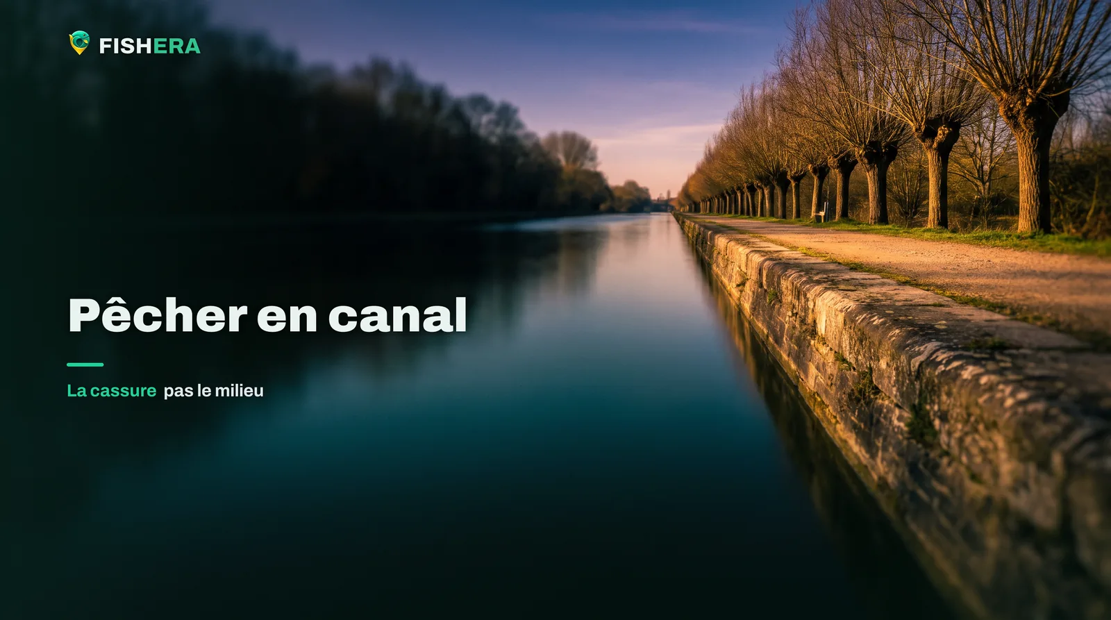 Un canal de navigation rectiligne à l'aube, sa berge de pierre et son alignement de saules têtards fuyant vers l'horizon, le chemin de halage à droite