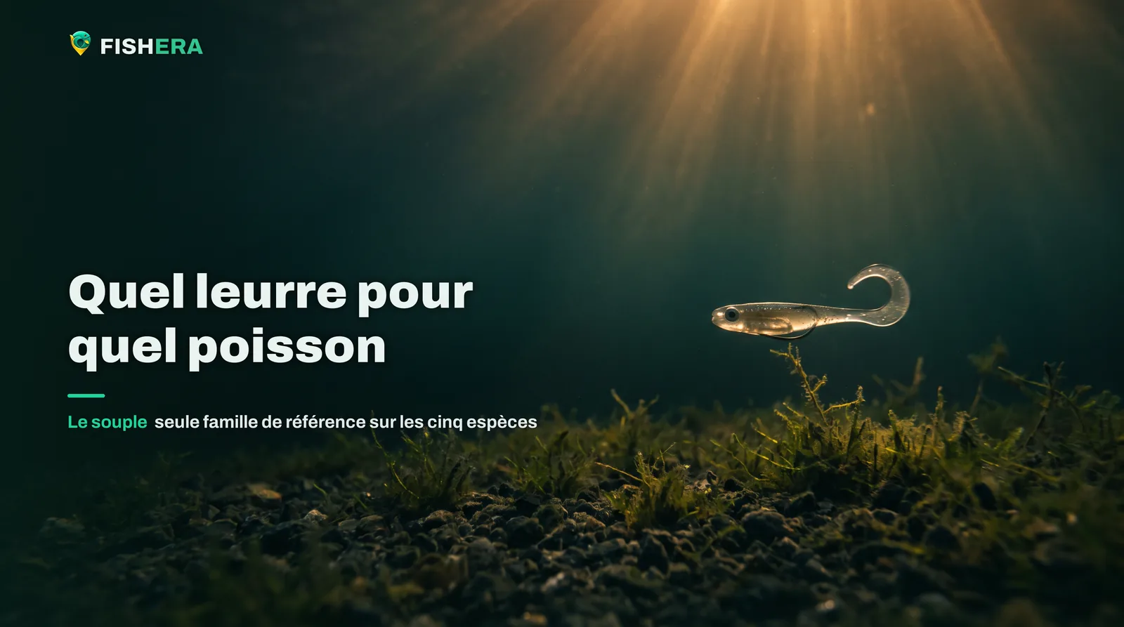 Vue sous l'eau d'un leurre souple à queue souple évoluant au ras d'un fond de graviers et d'herbiers bas, sous un rai de lumière