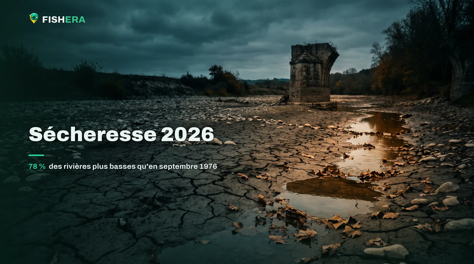 Le lit d'une rivière presque entièrement asséché à l'aube, une vase grise craquelée, quelques flaques isolées et une pile de pont en pierre restée à sec