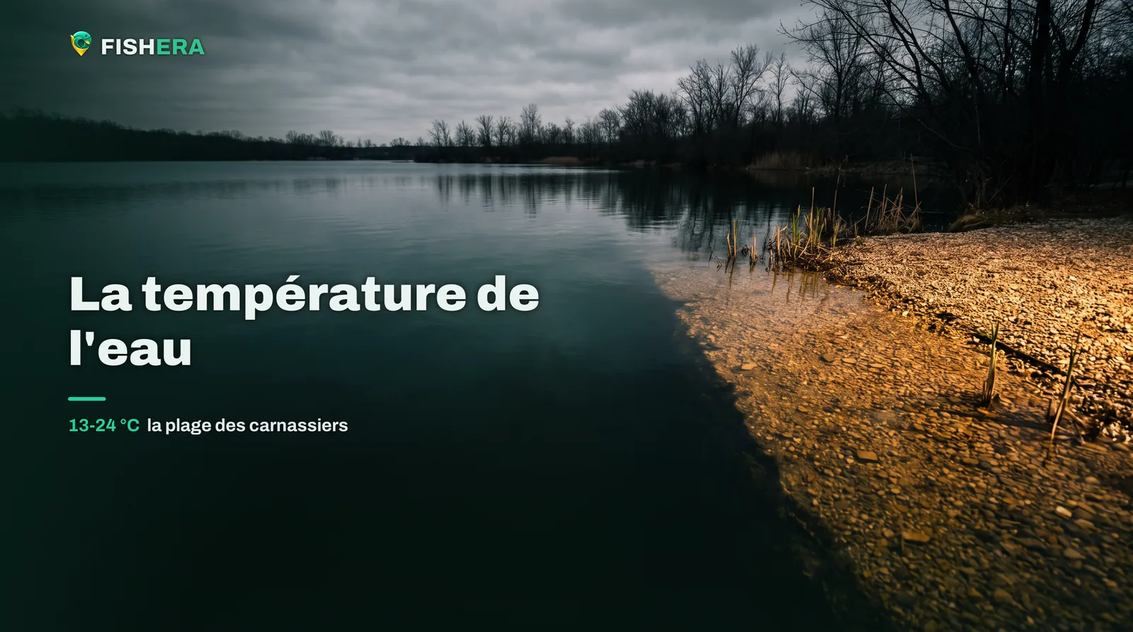 Une bordure de lac où un haut-fond de graviers éclairé rejoint l'eau profonde et sombre, la ligne de rencontre nettement visible
