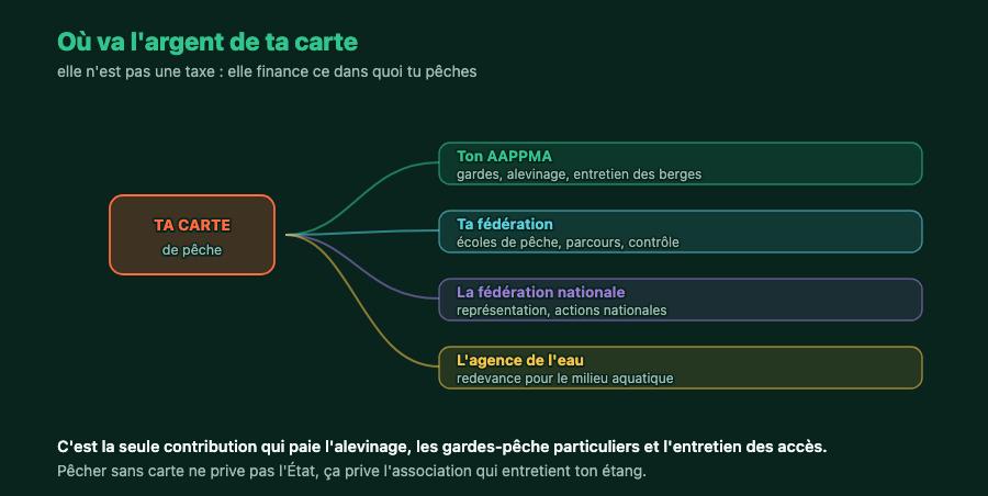 Répartition du produit de la carte de pêche entre l'AAPPMA, la fédération départementale, la fédération nationale et l'agence de l'eau
