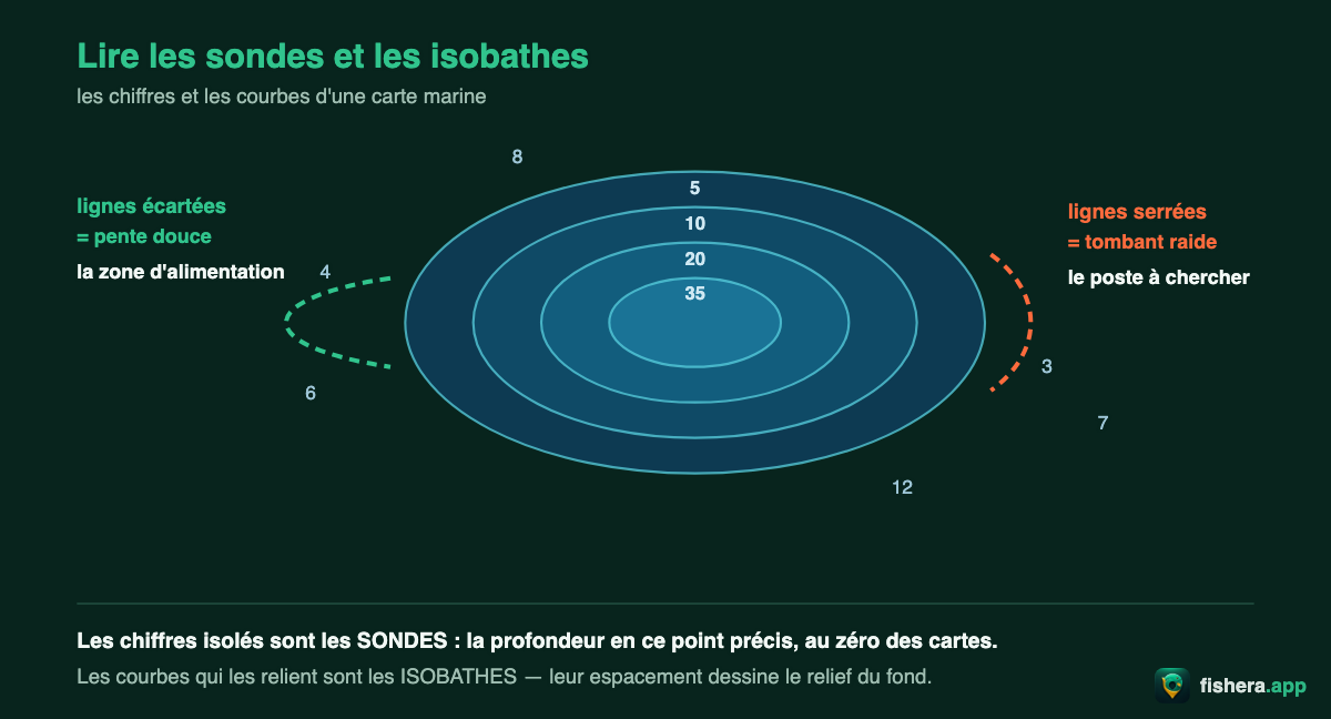 Schéma de lecture des sondes et des isobathes : lignes serrées pour un tombant raide, lignes écartées pour une pente douce
