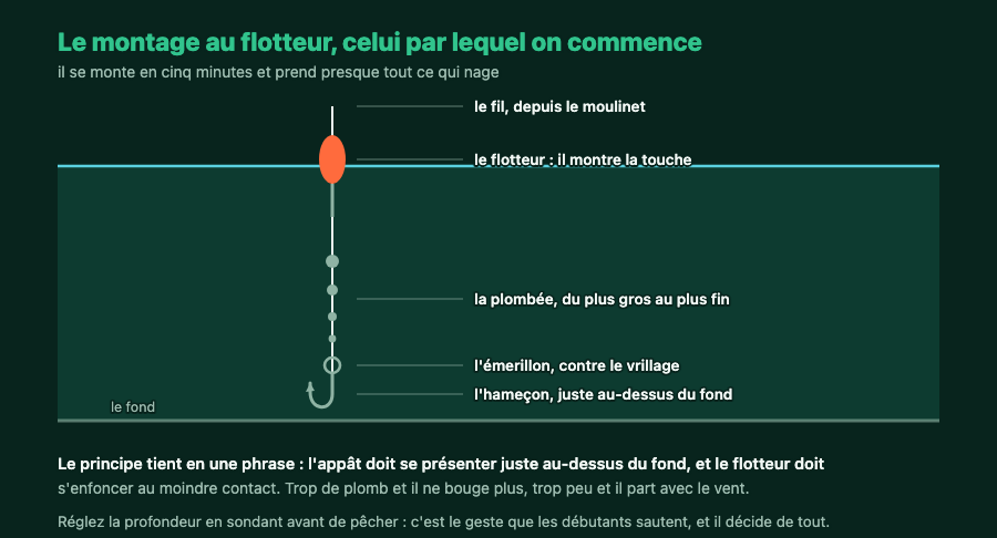 Montage au flotteur annoté : fil, flotteur, plombée dégressive, émerillon et hameçon au-dessus du fond