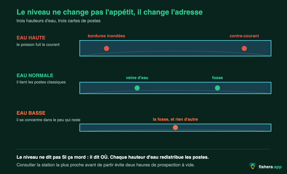 Trois niveaux d'eau — haute, normale et basse — et l'endroit où se poste le poisson dans chaque cas