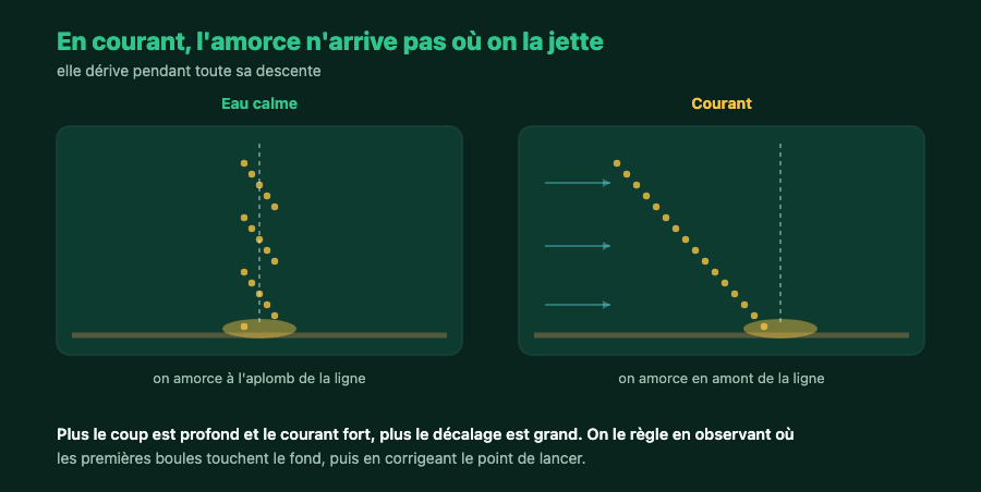 Deux situations d'amorçage : en eau calme l'amorce tombe droit, en courant elle dérive et doit être jetée en amont