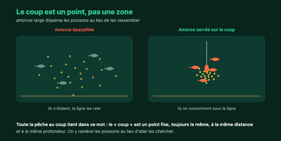 Deux plans d'eau comparés : amorce éparpillée qui disperse les poissons, amorce serrée qui les concentre sous la ligne