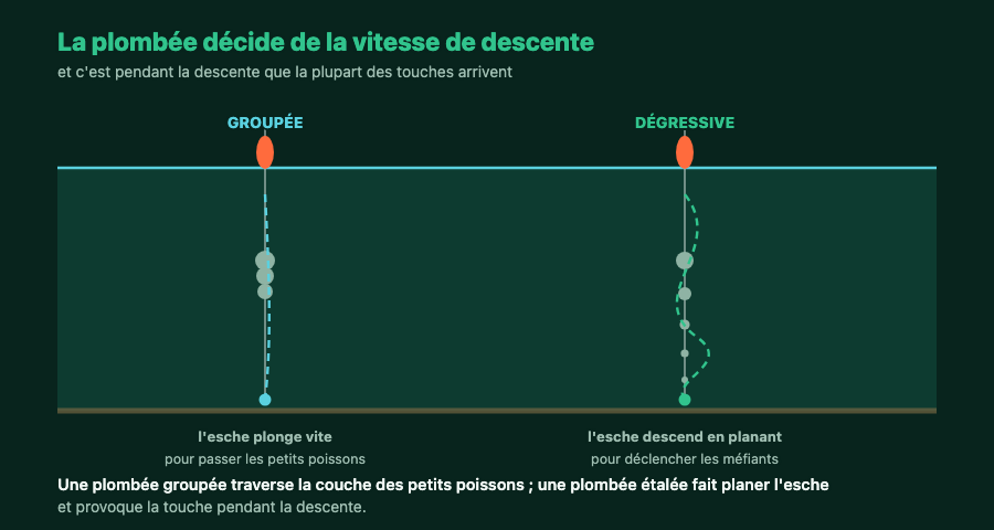 Deux plombées comparées : groupée pour une descente rapide, dégressive pour une descente planée