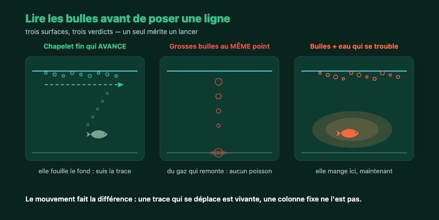 Trois surfaces d'eau comparées : chapelet de bulles mobile, colonne de gaz fixe, bulles avec eau troublée