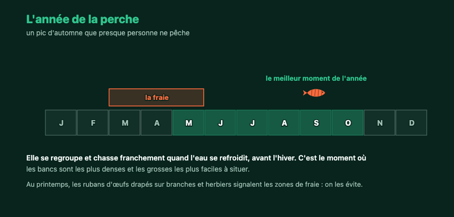 Calendrier annuel de l'activité de la perche avec la période de fraie au printemps et le pic d'automne