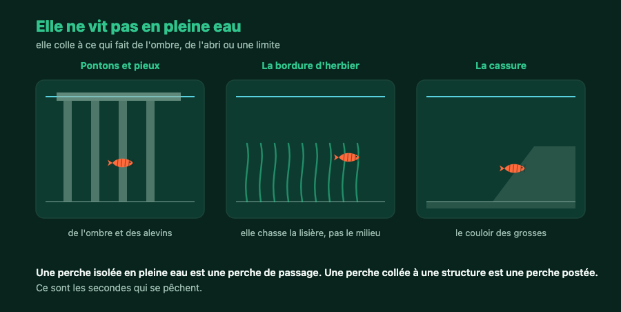 Trois structures à perches : pontons et pieux, bordure d'herbier, cassure
