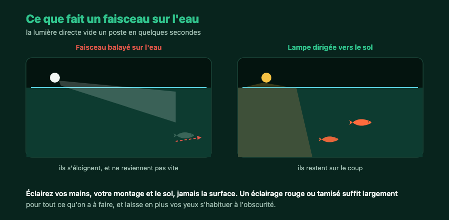 Deux postes de nuit comparés : un faisceau blanc balayé sur l'eau fait fuir les poissons, une lampe dirigée vers le sol les laisse en place
