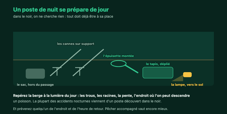 Un poste de pêche de nuit organisé : cannes sur support, épuisette montée, tapis déplié, lampe dirigée vers le sol