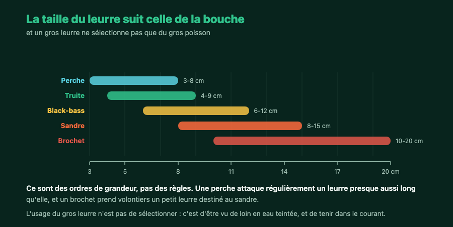 Plages de tailles de leurres par espèce, de la perche au brochet, sur une échelle en centimètres