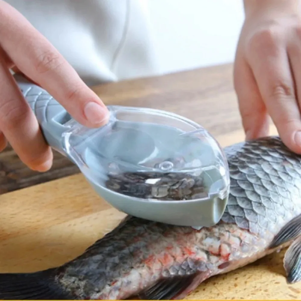 Écailleur à poisson avec couvercle