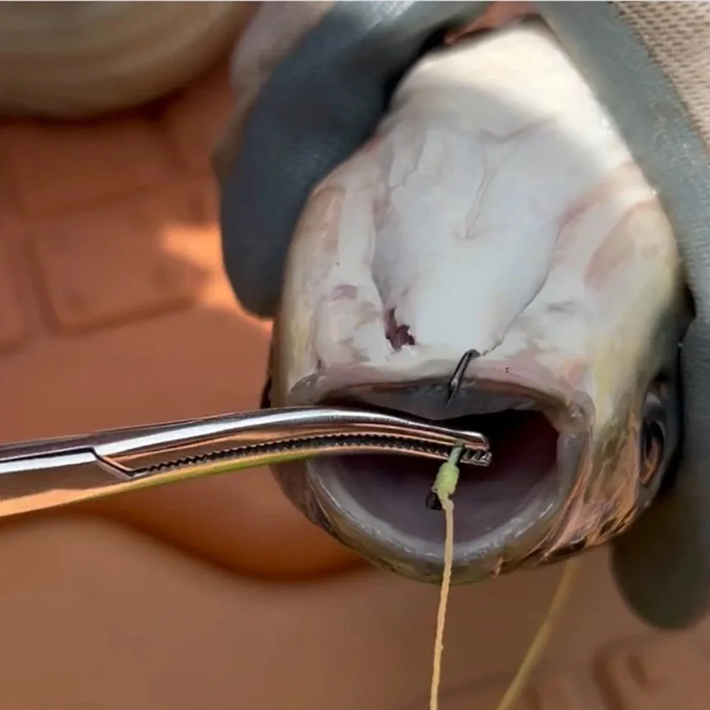 Forceps de décrochage